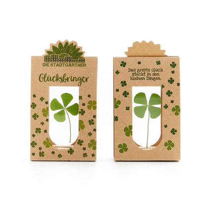 Glücksbringer – Echtes Kleeblatt