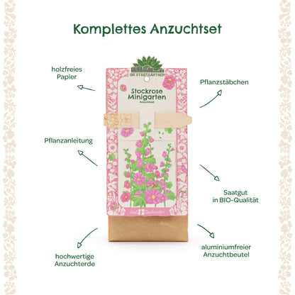 Anzuchtset – Minigarten Stockrose