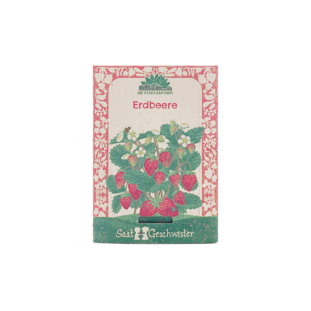 Saatgut Erdbeere