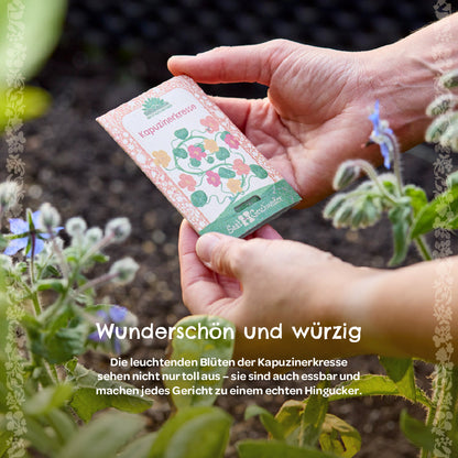 BIO-Saatgut Kapuzinerkresse