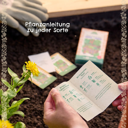 Saatgut-Set "Sonnenblumen"