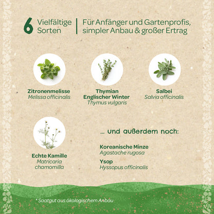 BIO-Saatgut-Set "Teekräuter"