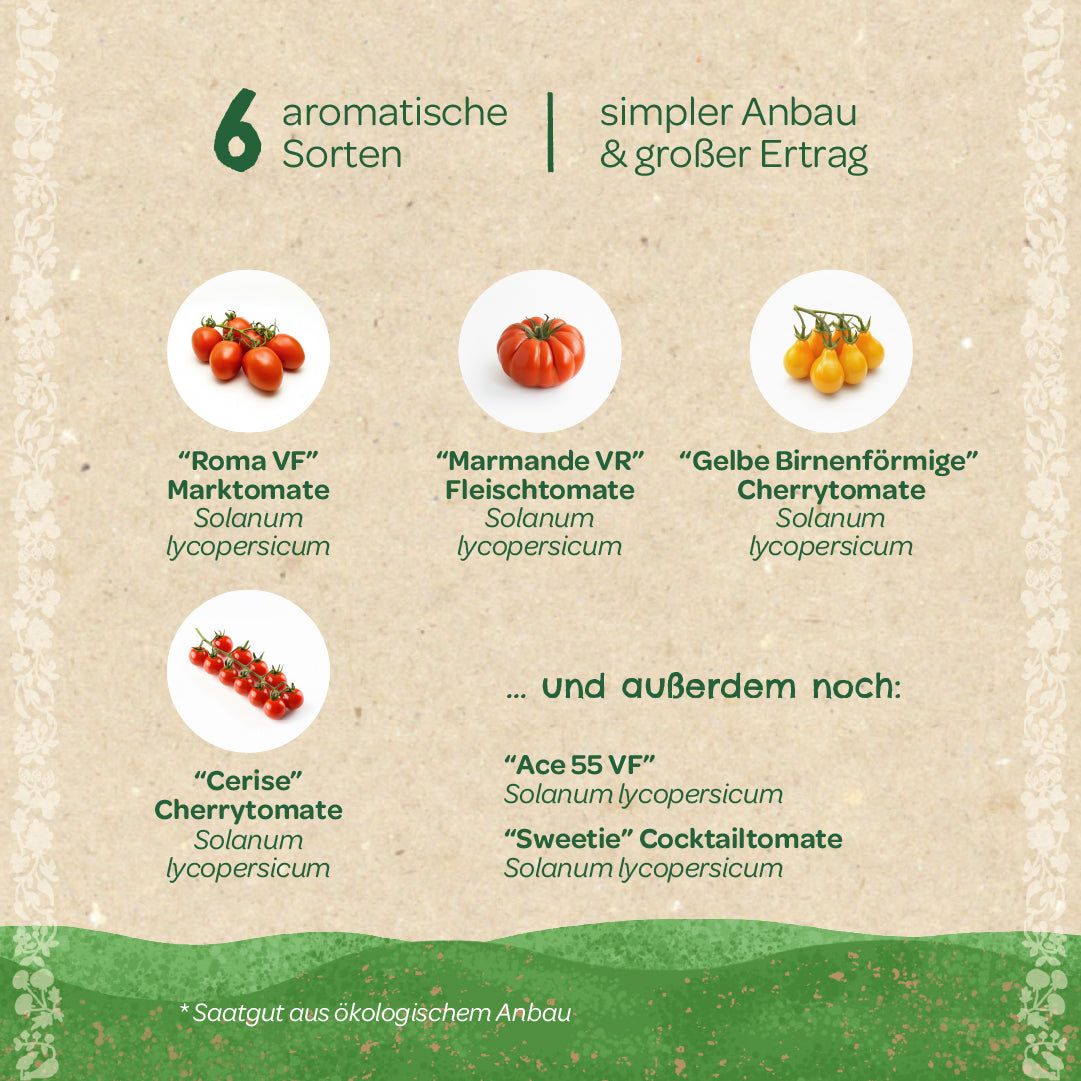 BIO-Saatgut-Set "Tomaten"