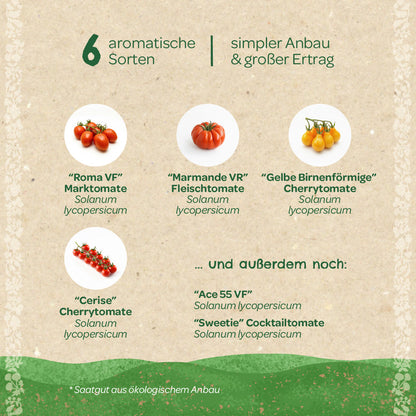 BIO-Saatgut-Set "Tomaten"
