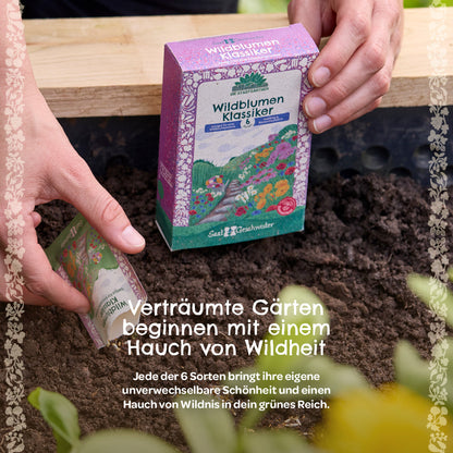 Saatgut-Set "Wildblumen"