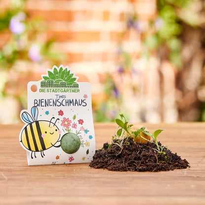 3 x 1 Blumenmurmel – Alle Sorten
