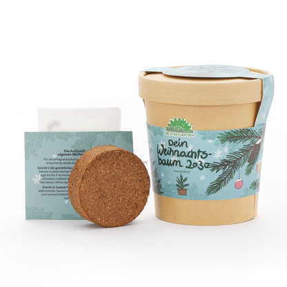 Festliches Anzucht-Set – 3 weihnachtliche Sorten