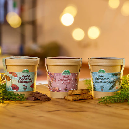 Weihnachtsbaum 2030 aus dem Becher